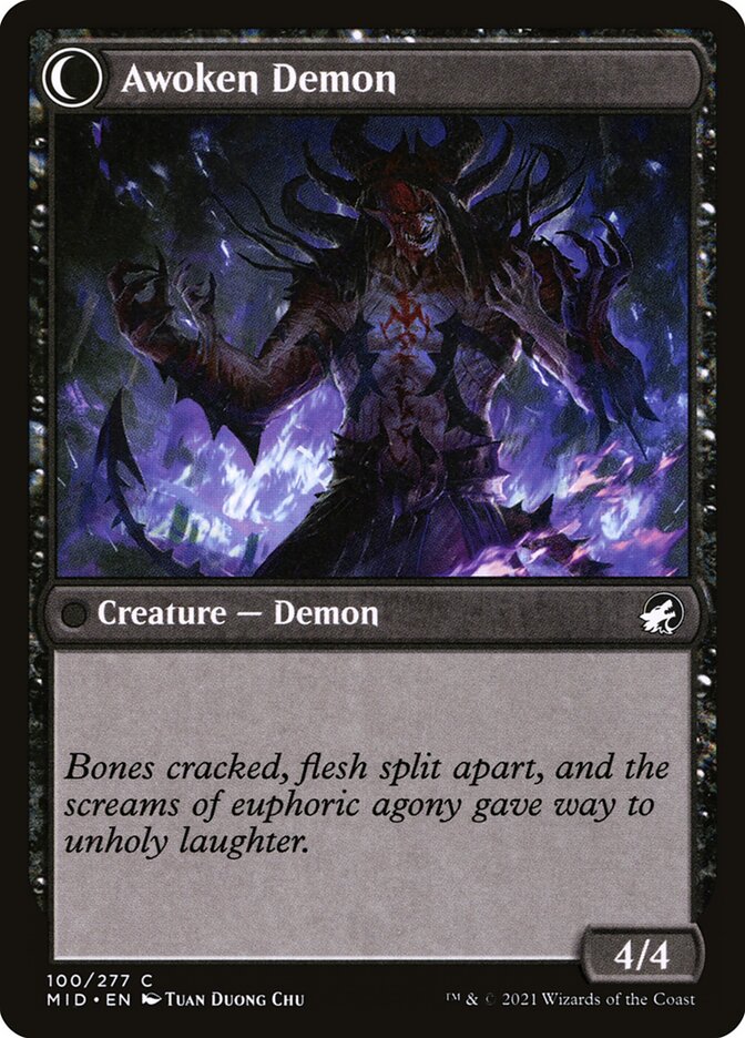 Ecstatic Awakener (Back)