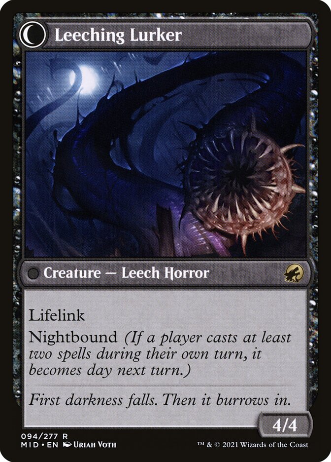 Curse of Leeches (Back)