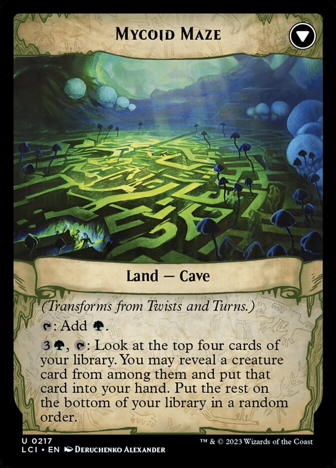 Twists and Turns (Back)