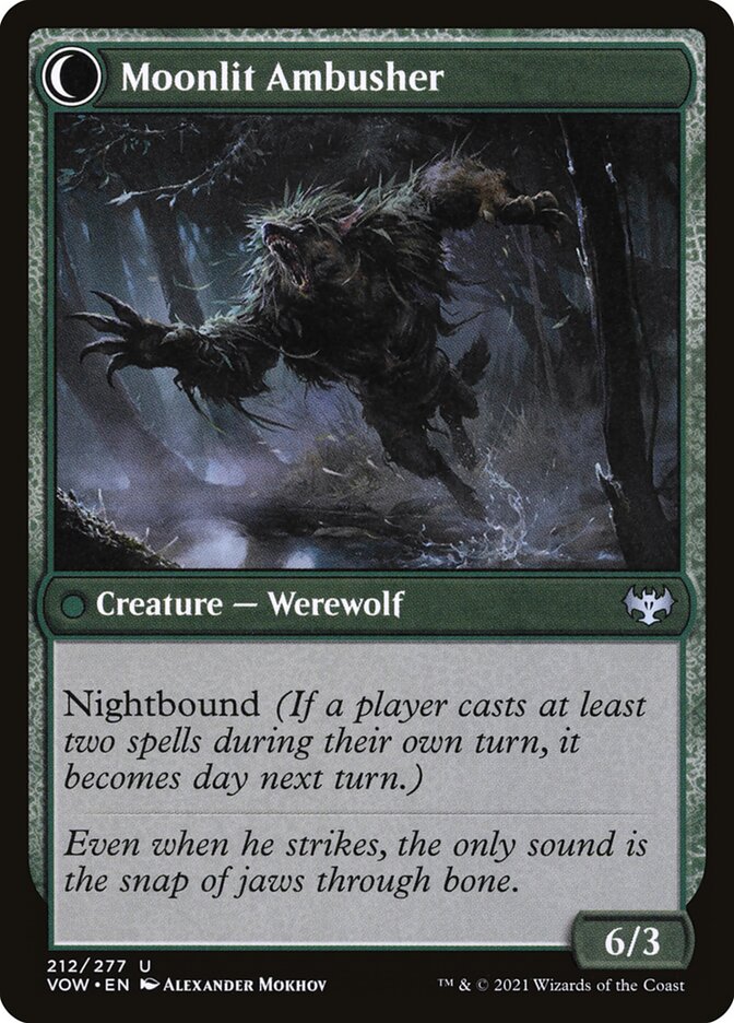 Oakshade Stalker (Back)