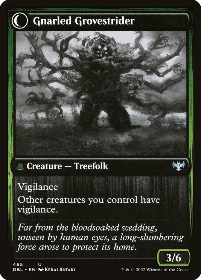 Dormant Grove (Back)