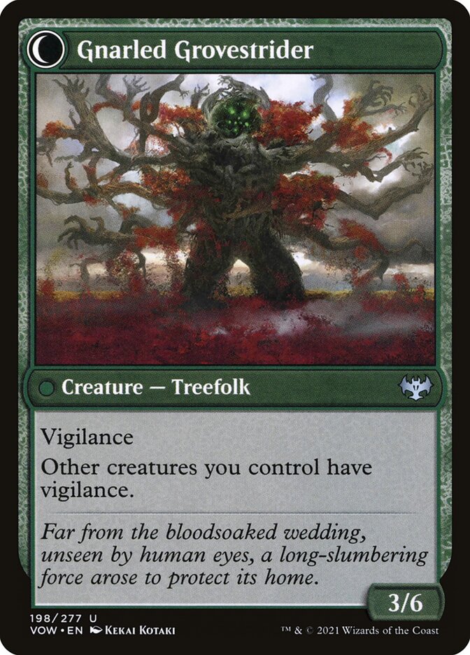 Dormant Grove (Back)