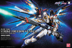 PG 1/60 STRIKE FREEDOM GUNDAM MK