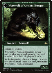 Sage of Ancient Lore // Werewolf of Ancient Hunger [Shadows over Innistrad Prerelease Promos]
